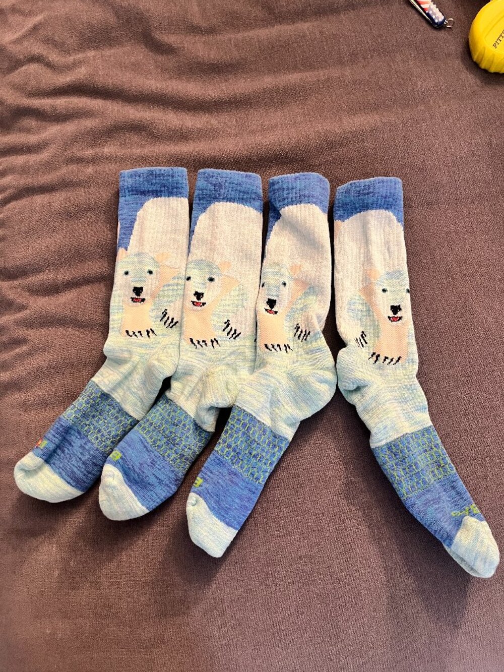 Bombas Eric Carle Polar Bear What Do You Hear? Socks RARE Retire Med *Flaw READ